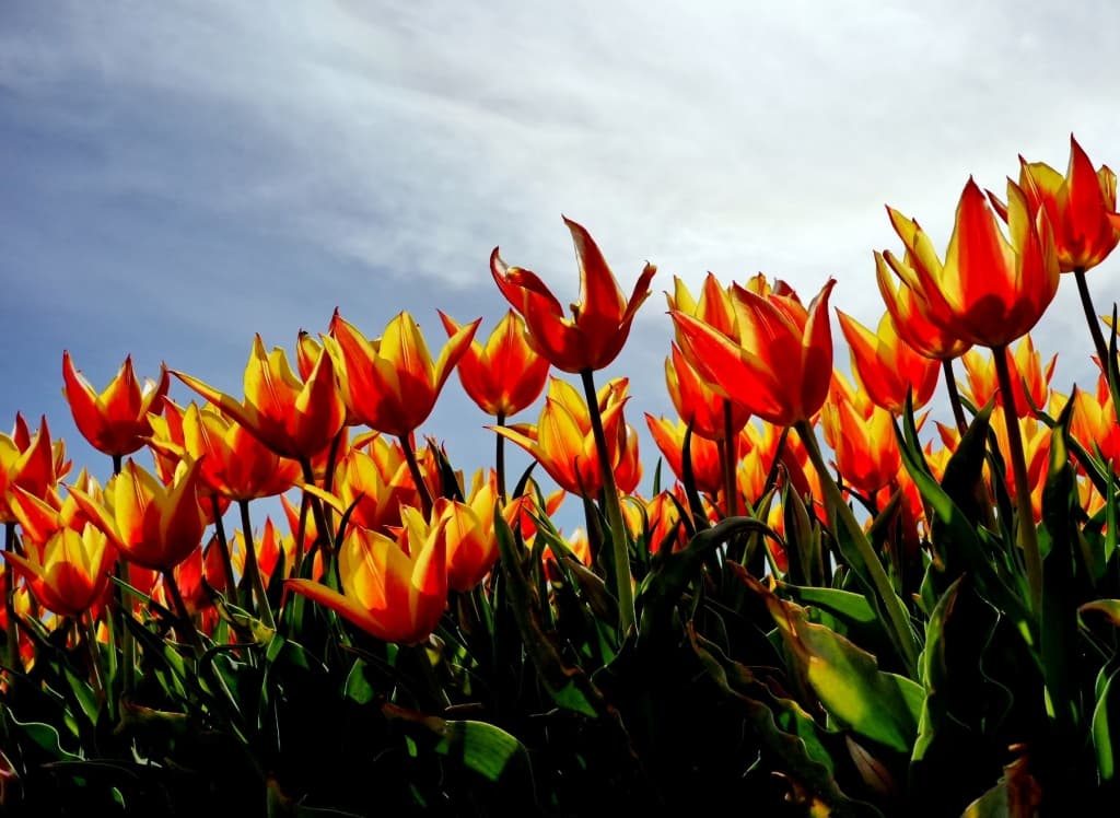 20210427_2_48012660_64607284.jpg