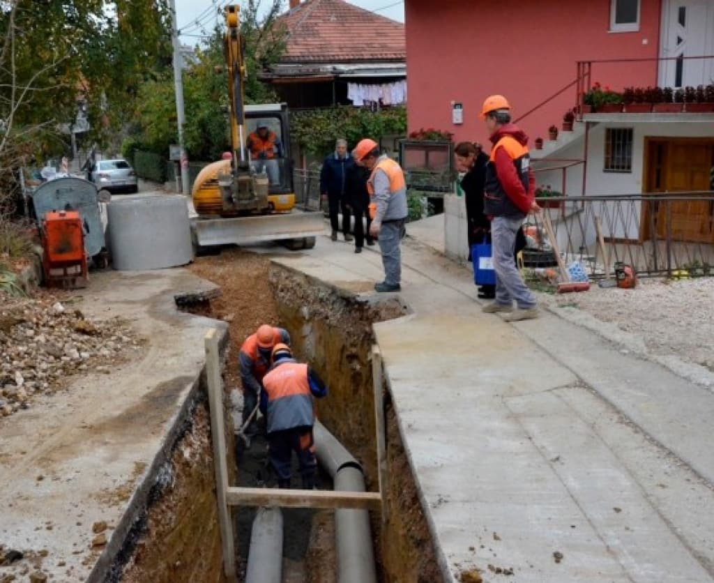 novosa-olovska2.jpg