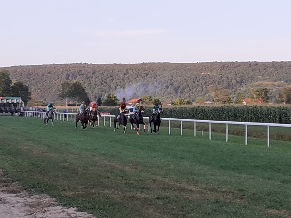 Trka-konja1.jpg