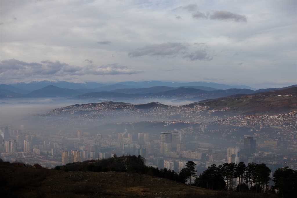 smog (4).jpg