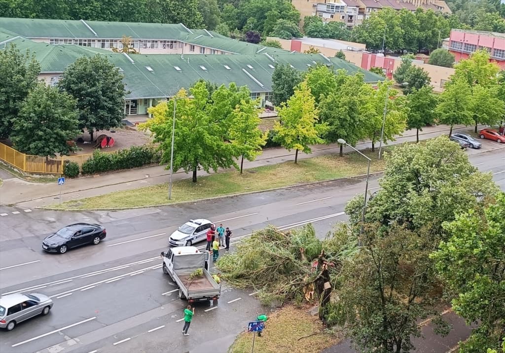 AA-20220625-28255439-28255438-NEVREME_U_NOVOM_SADU_OBARALO_DRVECE_I_NOSILO_LETNJE_BASTE.jpg