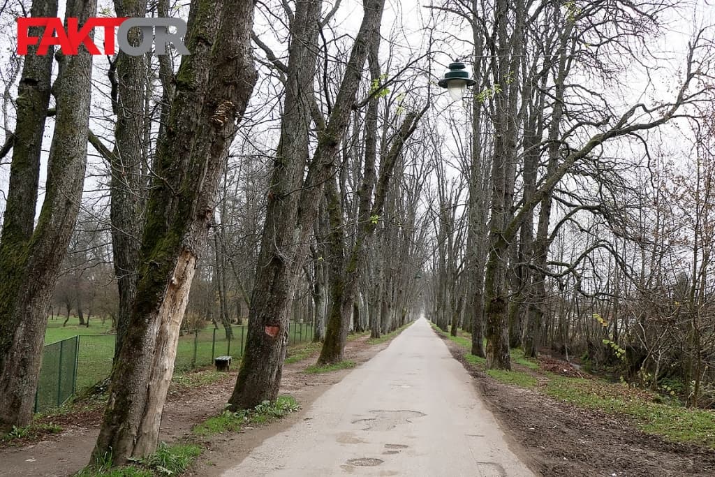 vrelo-bosne-reportaza-19112018-MZ (21).jpg