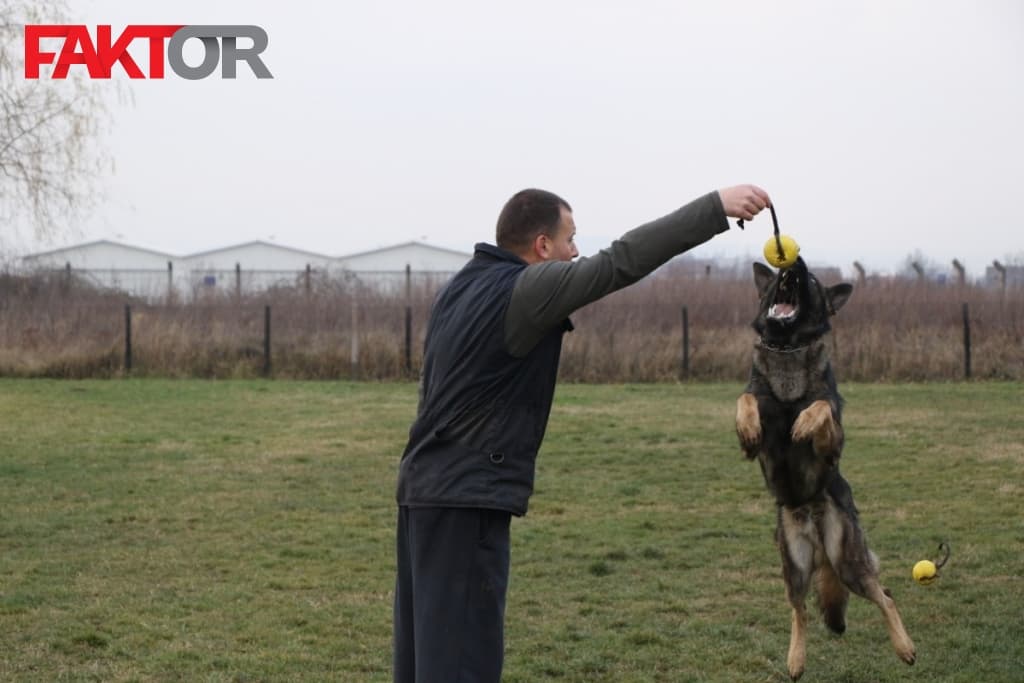 dog-sport-sarajevo-22112018-JB-0J4A5609.jpg