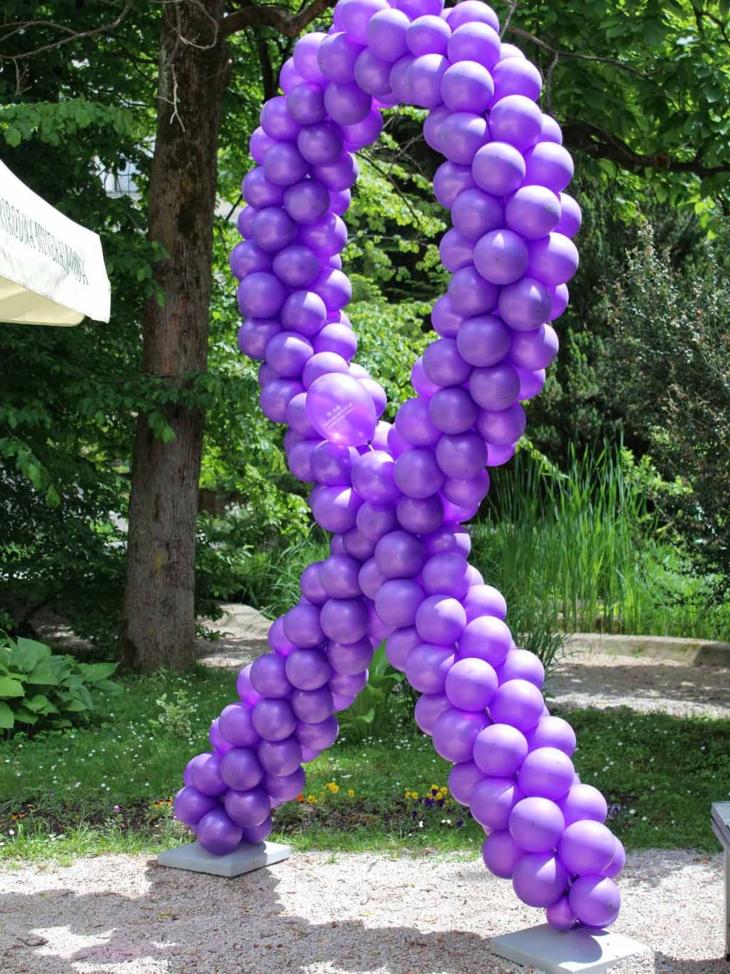 ibd (1).JPG