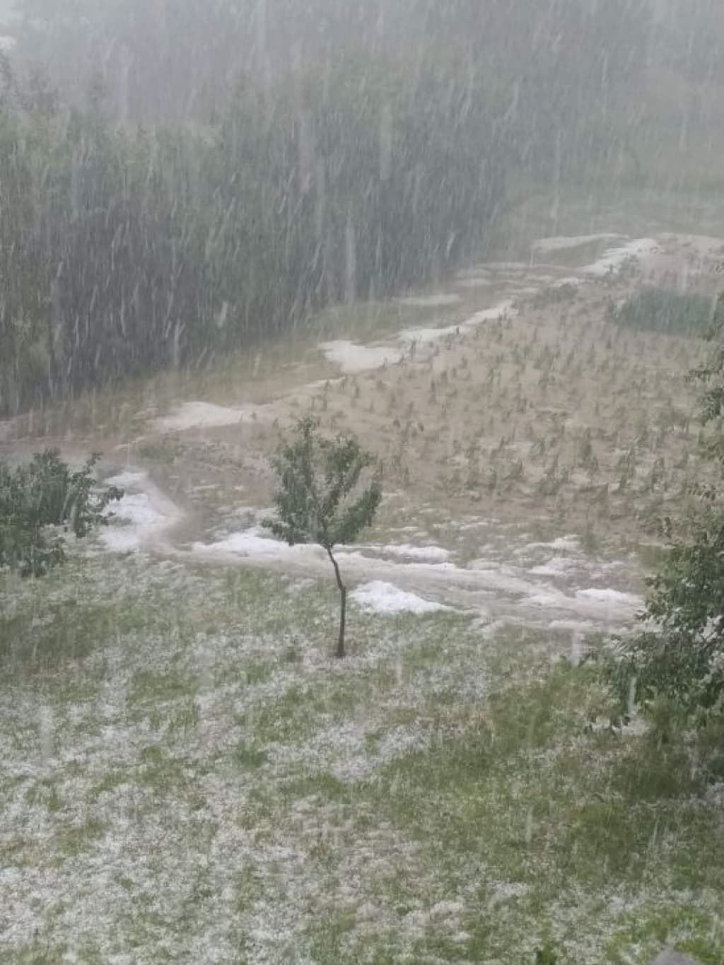 Zenica_nevrijeme_juni2019_ZB.jpg
