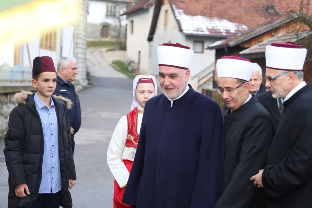 reis-olovo.jpg
