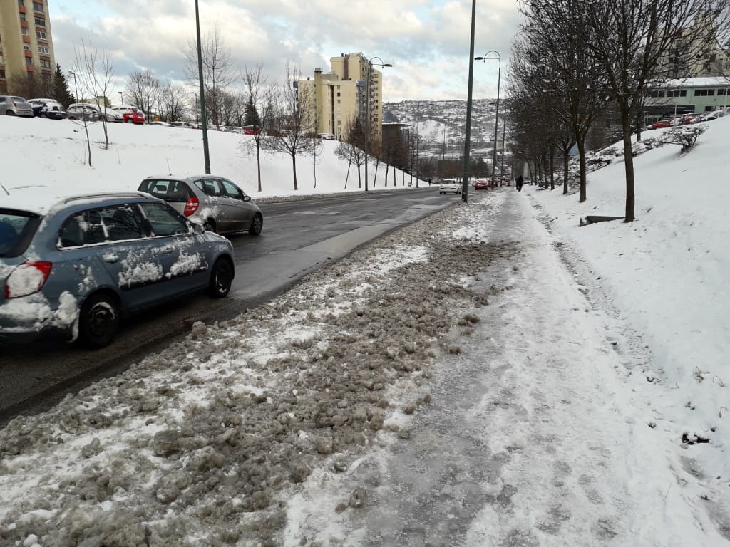 alipašino polje.jpg