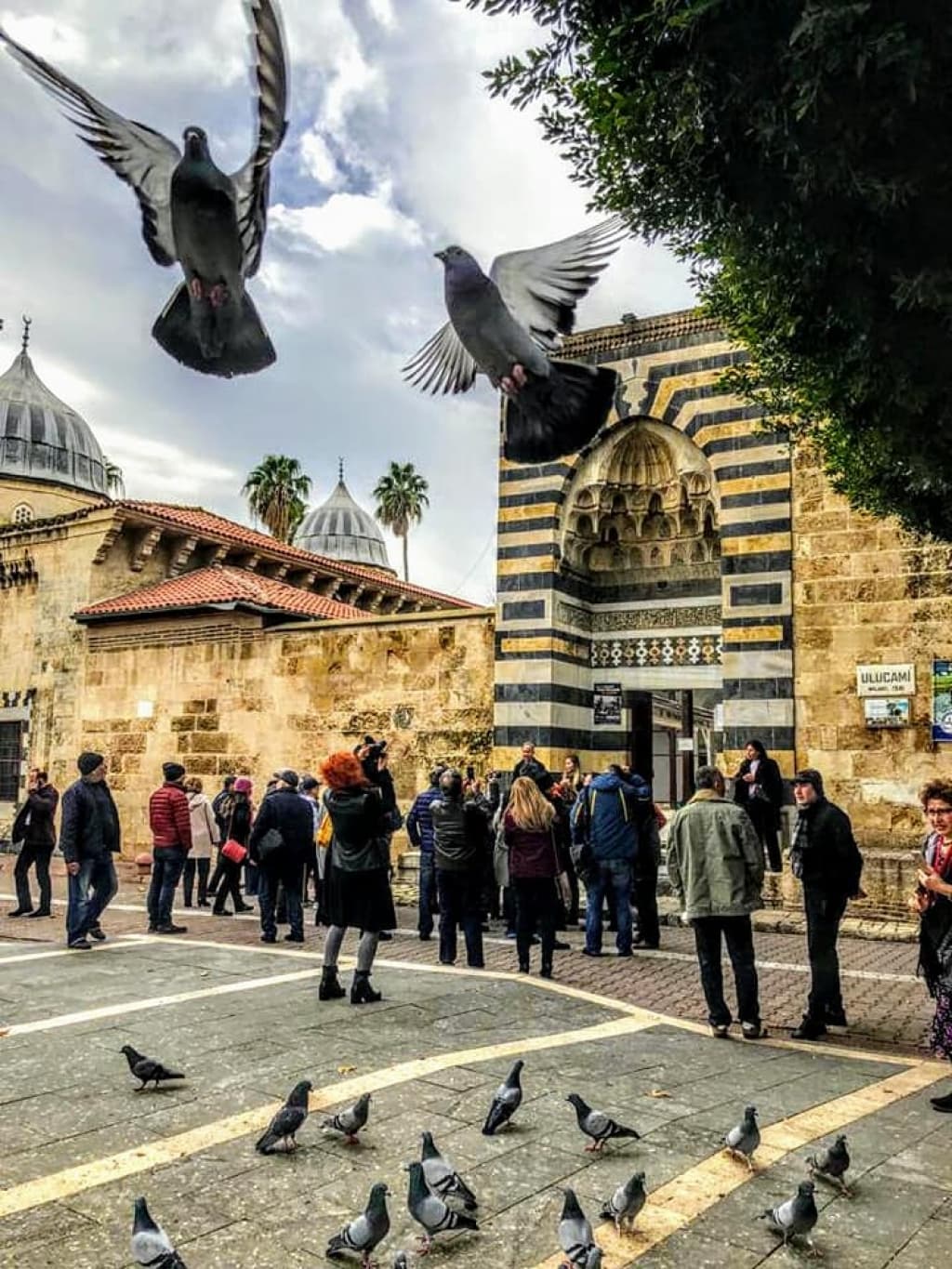 adana32.jpg