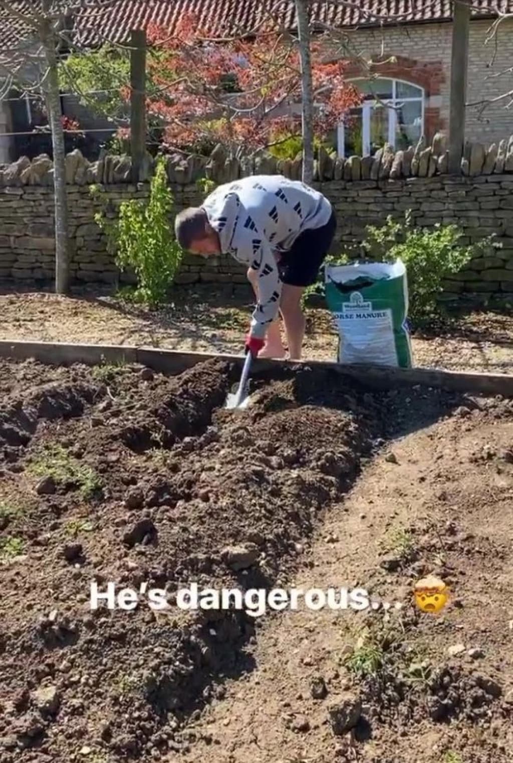 vardy1.jpg