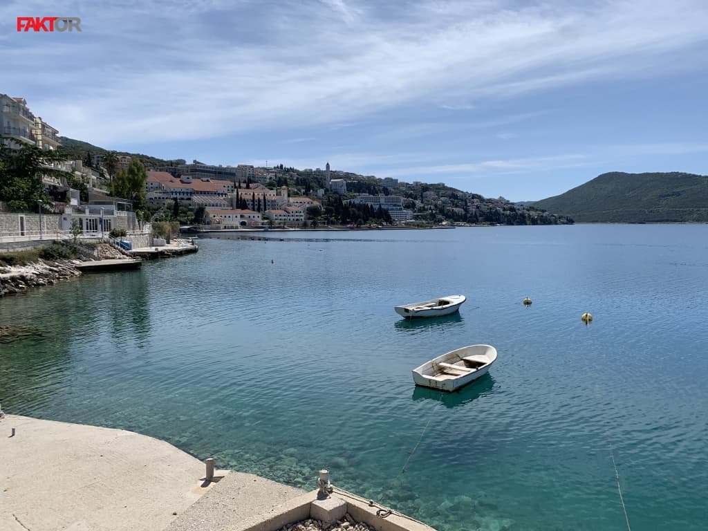 neum1.jpg