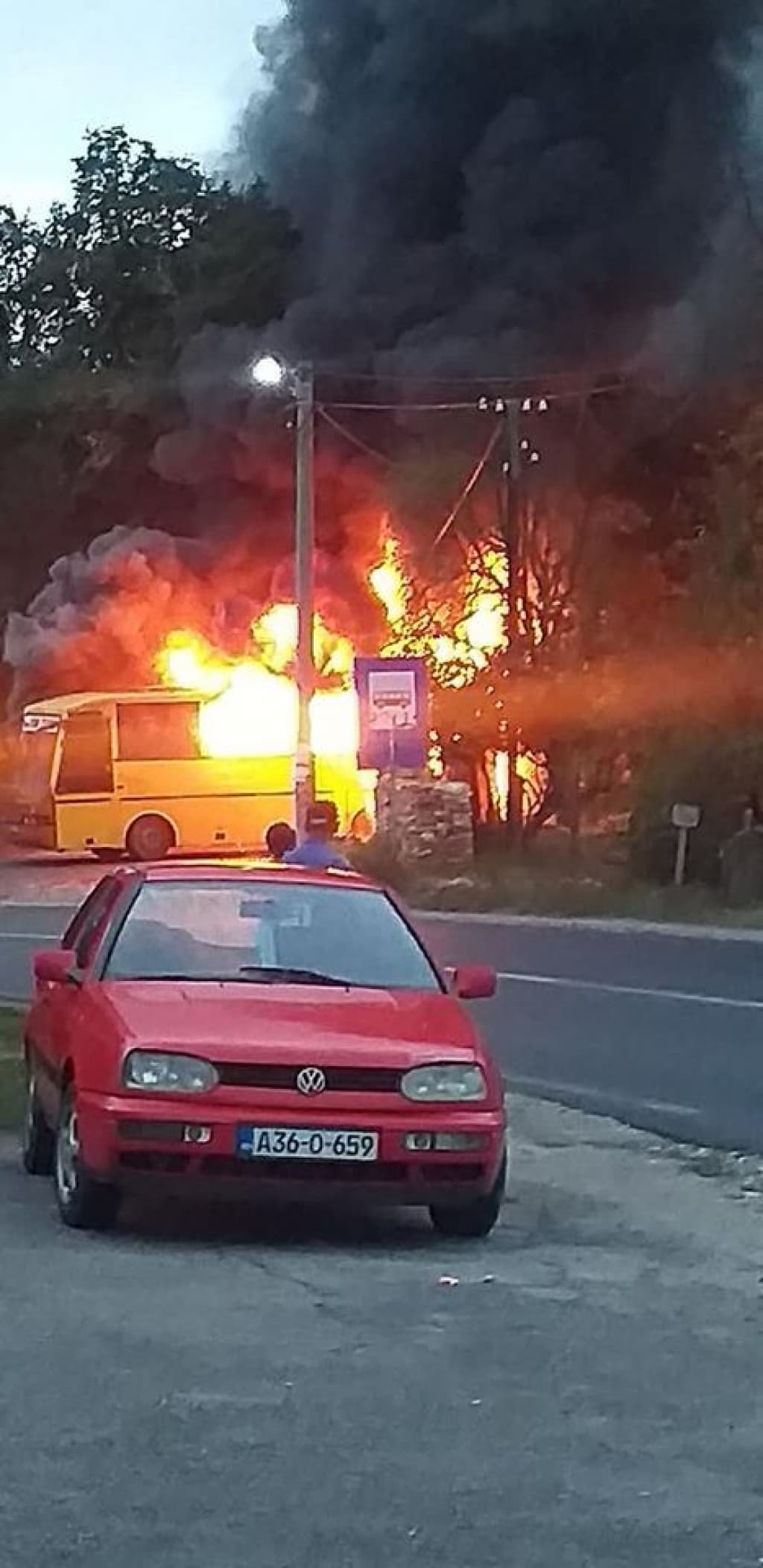 bus 2.jpg