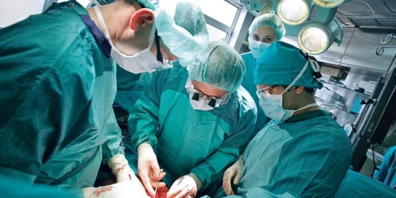 Transplantacija 