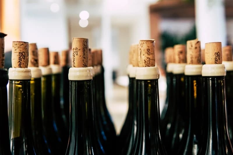 Vino/Ilustracija