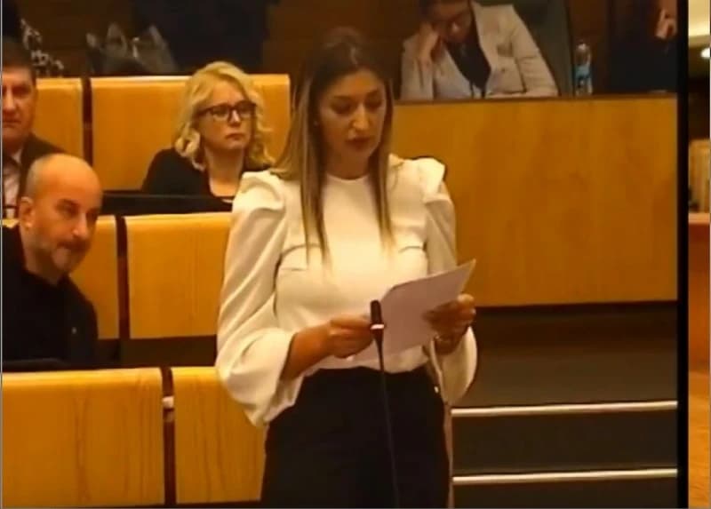 Azra Hadžić-Bećirspahić 