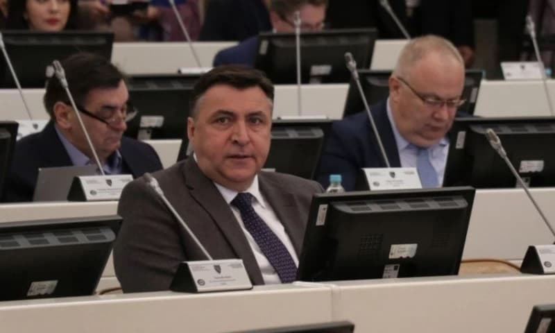 Nermin Mandra