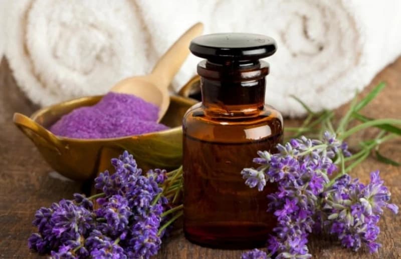 Lavanda 