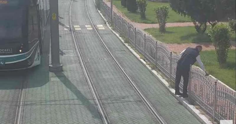 Vozač tramvaja, kornjača, Turska 