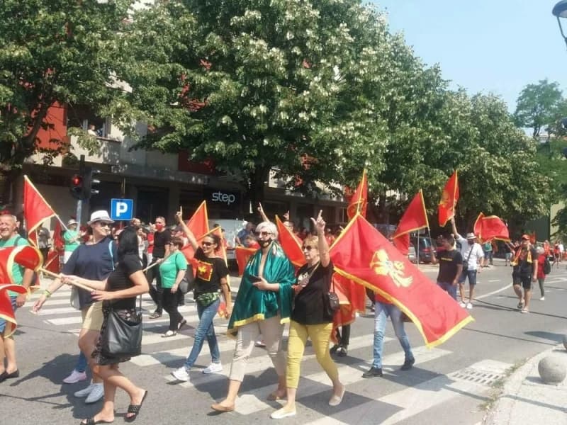 Protest na Cetinju