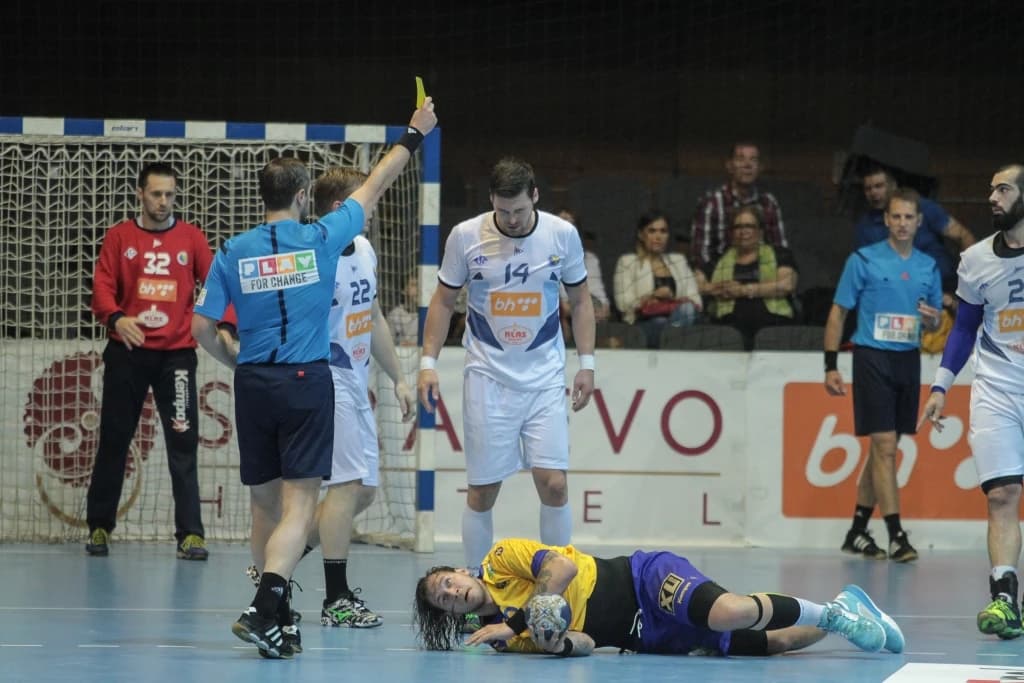Mirsad Terzić BiH - Švedska