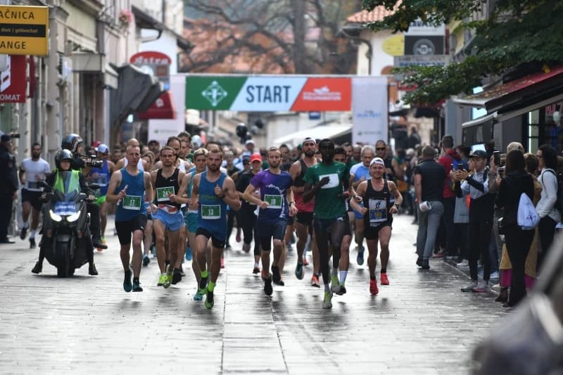 Vivia Run Fest