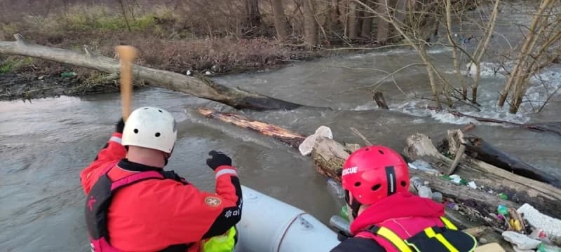 Potraga za Safetom Softićem