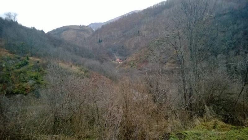 Delijaš kod Trnova