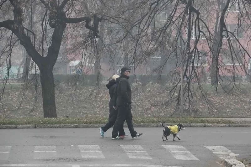 Vilsonovo šetalište 