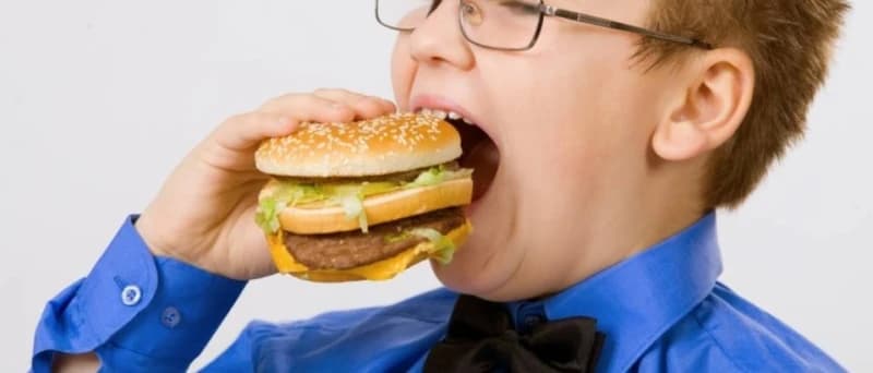 Hamburger, dijete 
