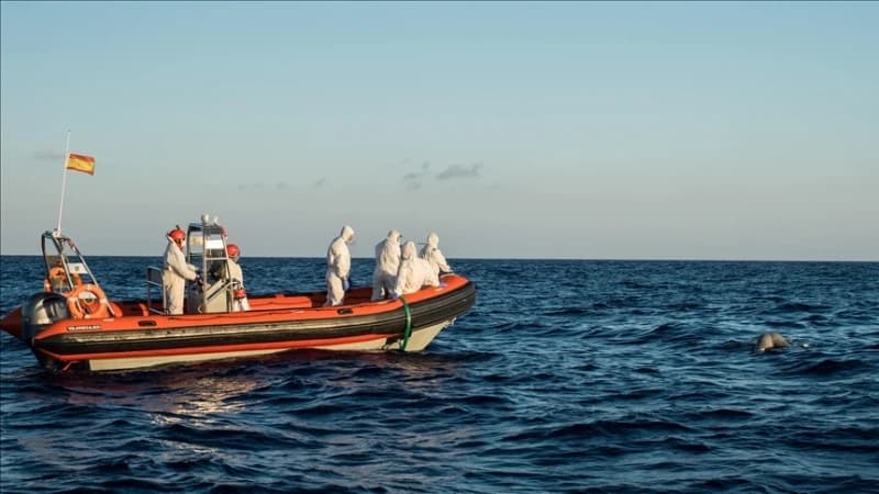 Španija, migranti 