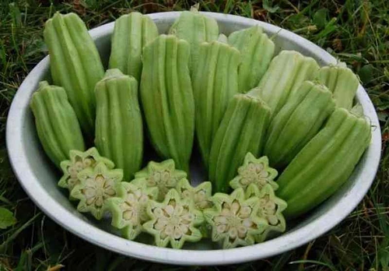 Bamija 