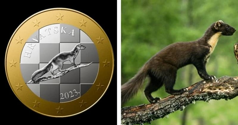 Autor ga nazvao lopovom: Dizajner nove hrvatske kovanice koristio ukradenu fotografiju s interneta?