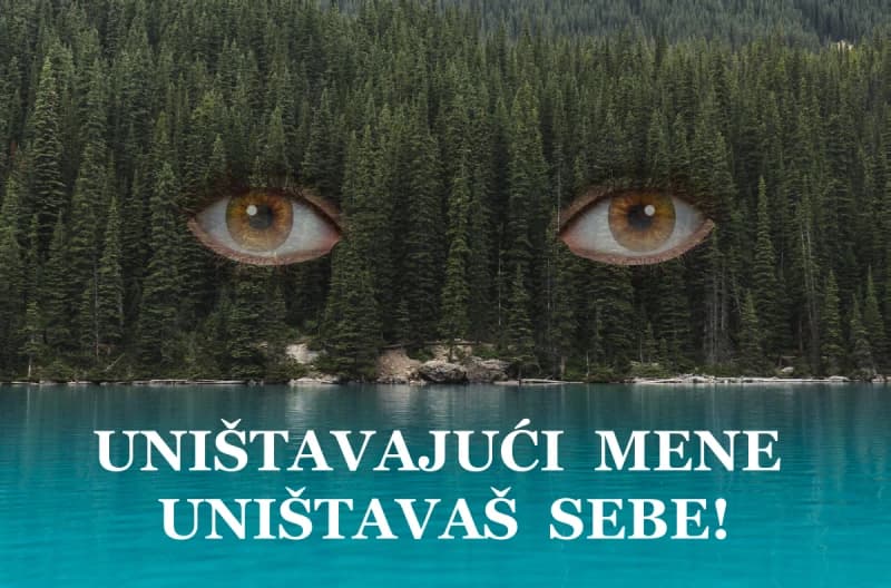 Šume