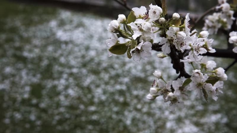 Jutros snijeg, a za desetak dana temperature će ići i do 30 stepeni?