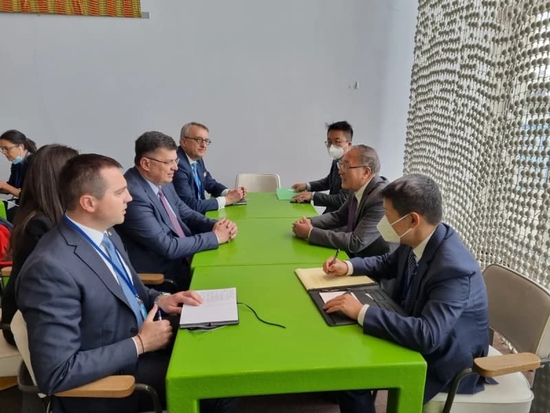 Tegeltija i ambasador Zhang