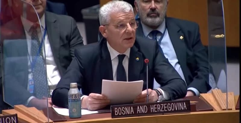 Šefik Džaferović