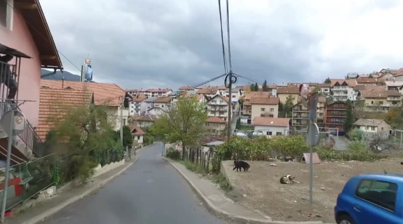 Velešići