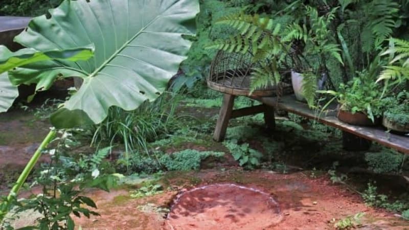 Pronađeni otisci stopala dinosaurusa