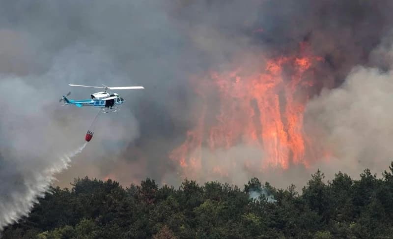 Požar na Krasu