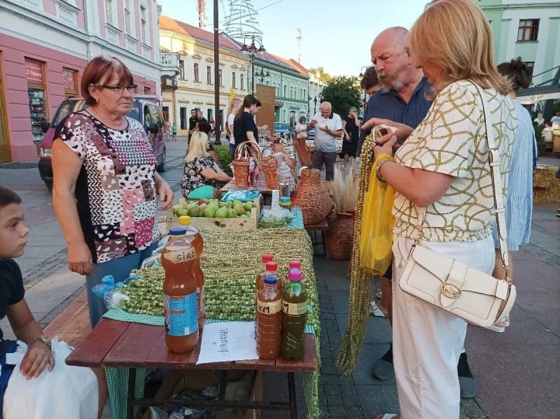 Brčko, bamija