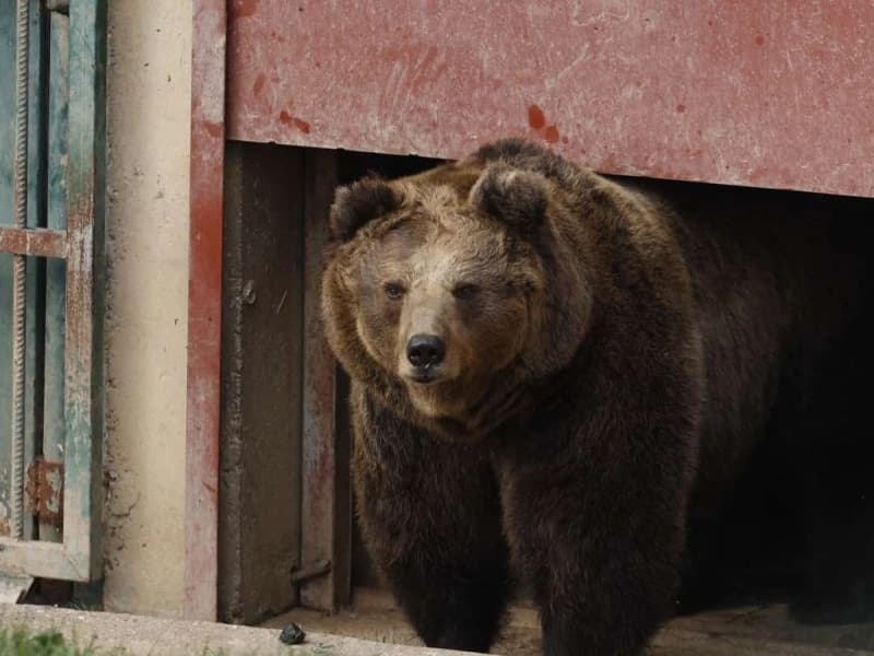 Pionirska dolina i zoo vrt