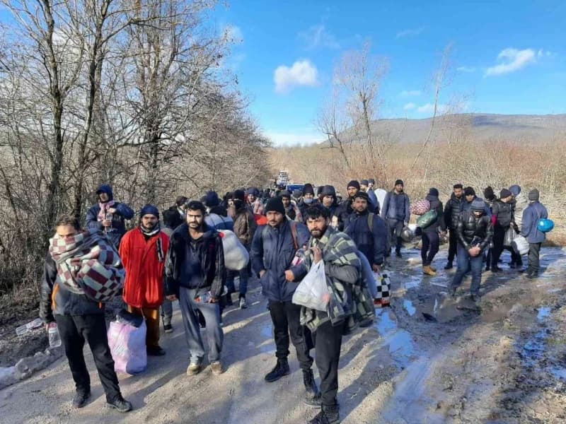 migranti