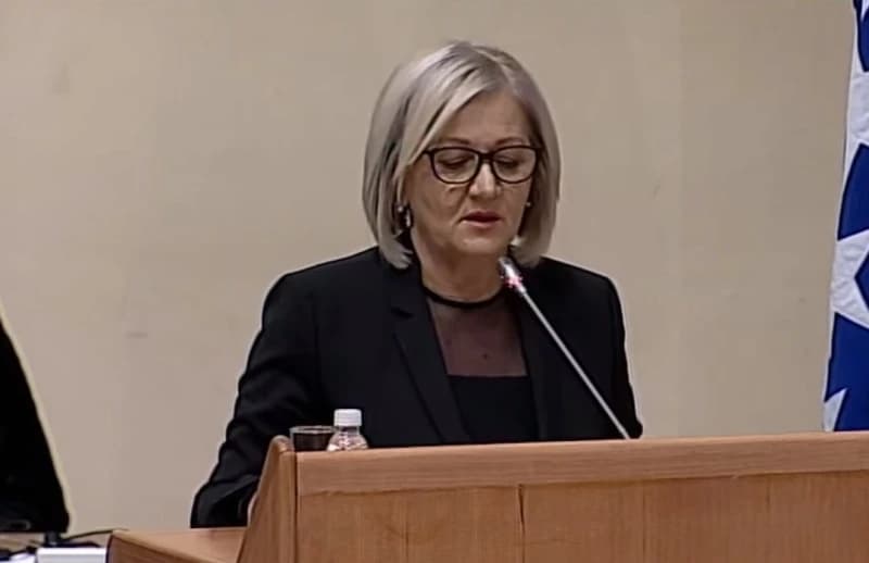 Borjana Krišto u PSBiH