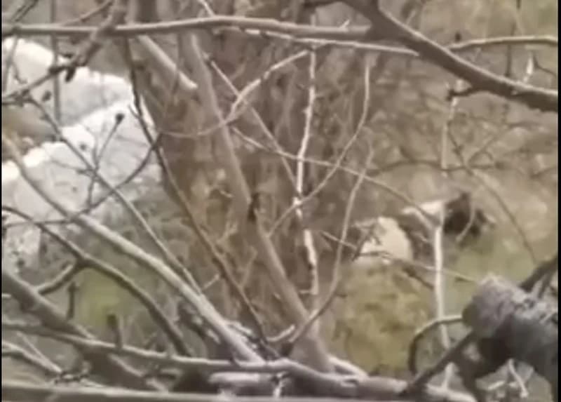 Naselje Zalih u Mostaru