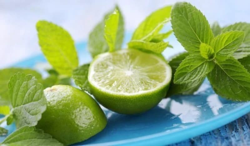 Limeta 
