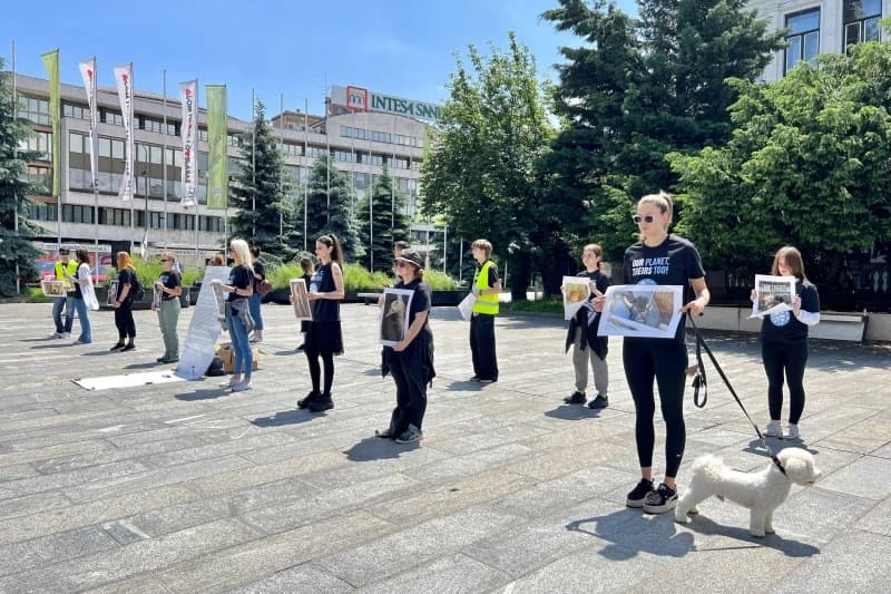 Prava životinja, nacionalni dan