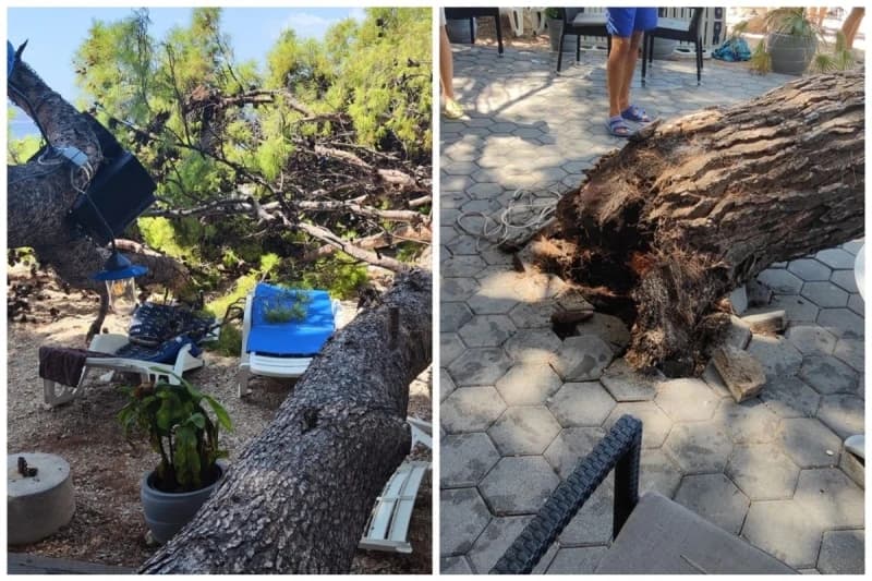 Srušeno drvo u Baškoj Vodi