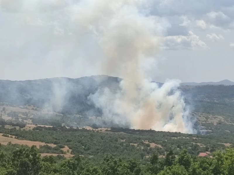 Požar u bilećkom selu