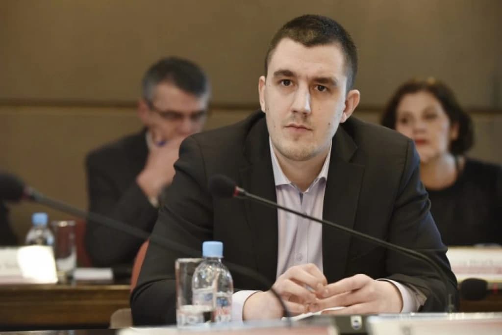 vibor handžić