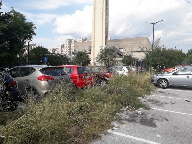Parking, Semira Frašte 