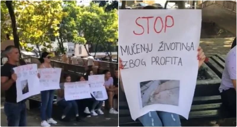 Protesti Tešanj 